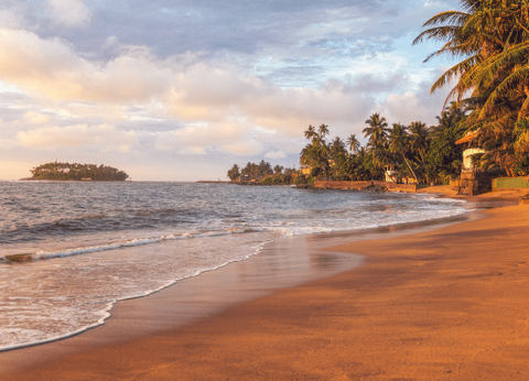 Circuit Sri Lanka Signature : Nature, Culture et Luxe - 15