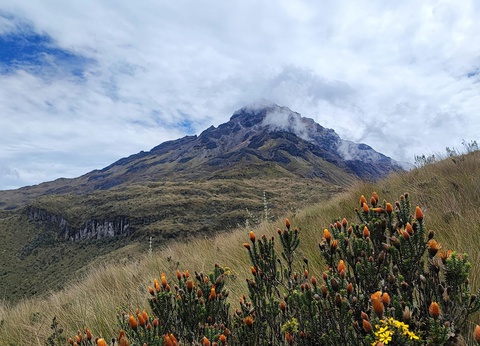 Les sentiers d'Equateur - 6