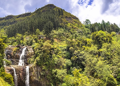 Circuit Les Incontournables du Sri Lanka et Extension Anantaya Resort & Spa 5*nl - 3