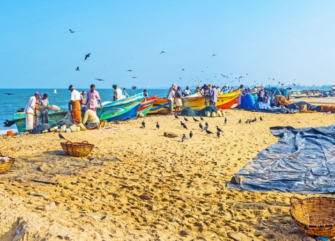 Circuit Intense Sri Lanka (privatif) et Framissima Mermaid 4* - 15