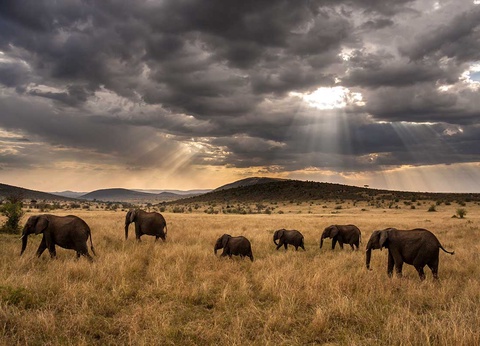 Circuit L'essentiel du Kenya en 4 x 4 - 7