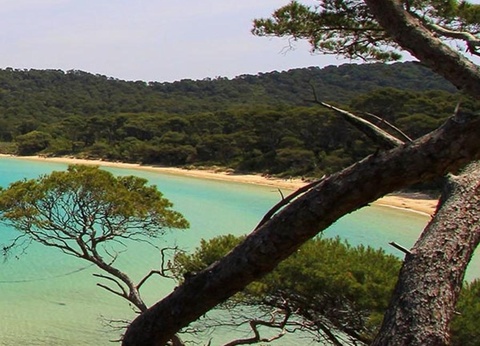 Camping Le Pansard, 4* - 31