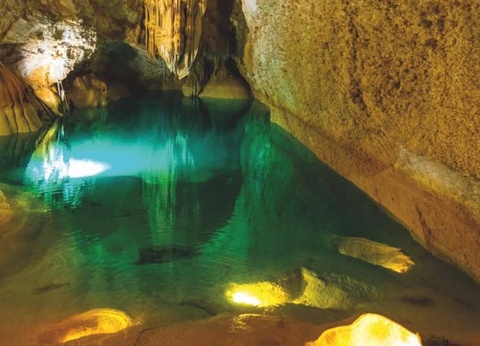 Camping l'Olivier, 3* - 75