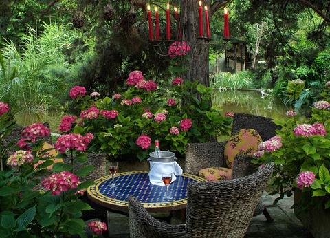 Nature et charme dans une ancienne chapelle à Arles - 4* - 7