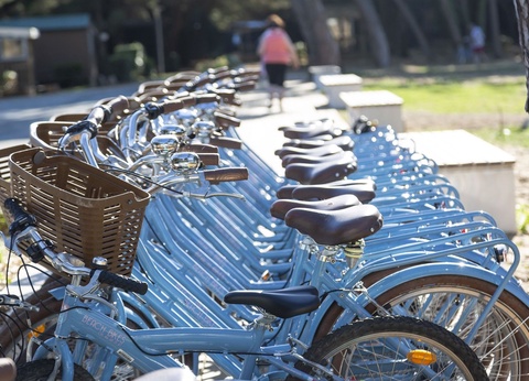Camping Odalys Tamarins Plage - Arrivées à partir de Mai - 28