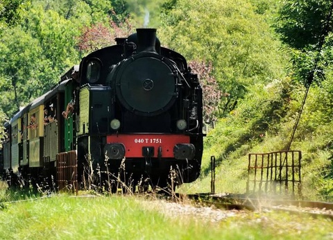 Camping l'Olivier, 3* - 76