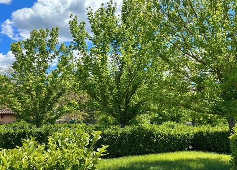 Camping Tikayan Oxygene, 3* - 29