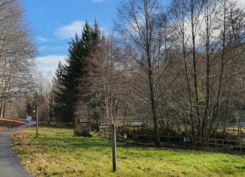 Camping Moulin de David 4* - 71