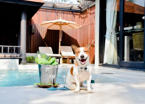 Hôtel Wyndham Hua Hin Pranburi Resort et Villas 5* - 9