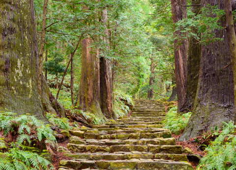 Circuit Au Coeur du Japon, Authentique et Insolite - 11