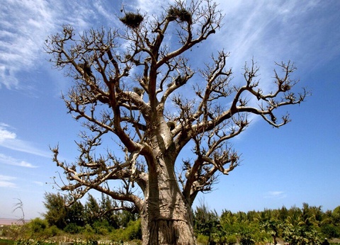 Circuit Privatif Evasion au Sénégal entre Culture et Plage - 18