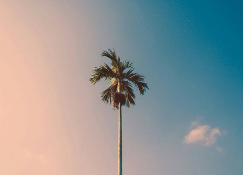 Combiné hôtels L'essence de Cuba : entre patrimoine et douceur caribéenne 5* - 11