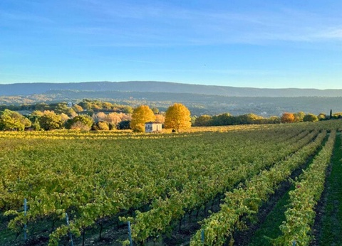 Camping Domaine des Chênes Blancs Pausado, 3* - 29