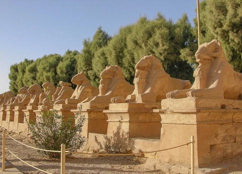 Combiné Déesses du Nil et Palm Royale Resort Soma Bay - 14