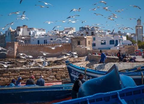 Circuit Marrakech et Essaouira En Riad - 12