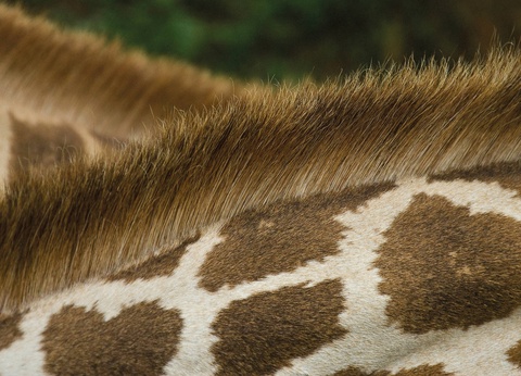 Circuit L'âme sauvage : voyage entre Kenya et Tanzanie - 18