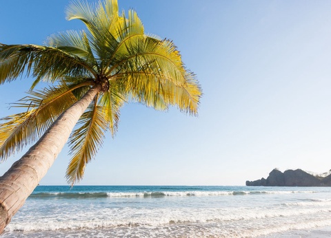 Séjour Costa Rica : Évasion sur la Côte Pacifique - 6