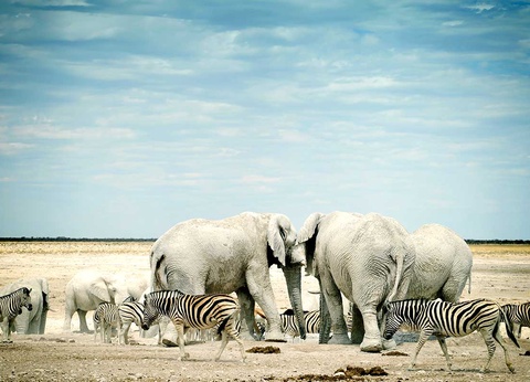 Circuit Visage de Namibie - 13