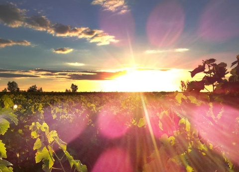 Camping Albirondack Park Lodge And Spa 4* - 27