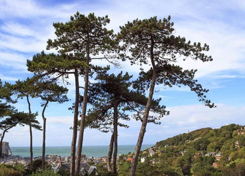 Pied à terre à Étretat - 4* - 10