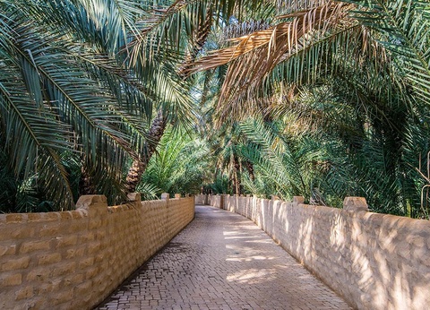 Combiné Abu Dhabi City et Al Ain Desert - 11