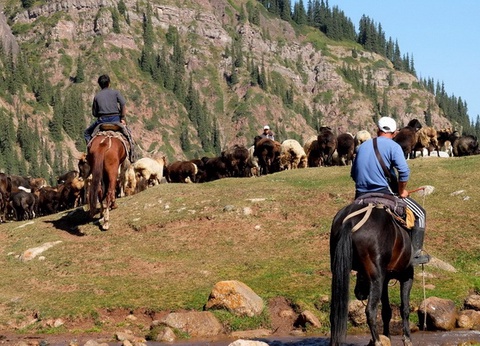 Nomad's Land - Kazakhstan, Kirghizistan - 8