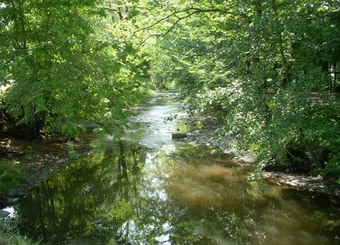 Camping Village Chalets de Donzenac 3* - 10