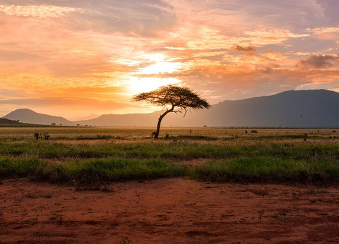 Combiné Ôclub Select Diamonds Malindi 5* et Safari - 15