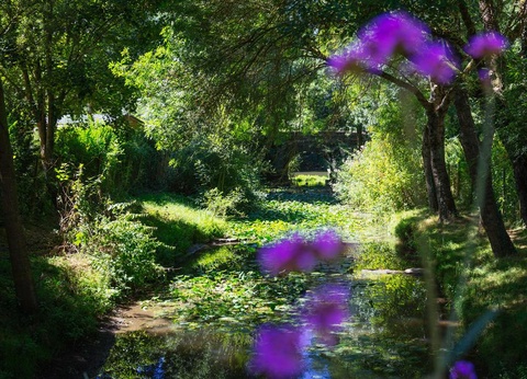 Camping Sites et Paysages - L'Etang de Brissac, 4* - 20