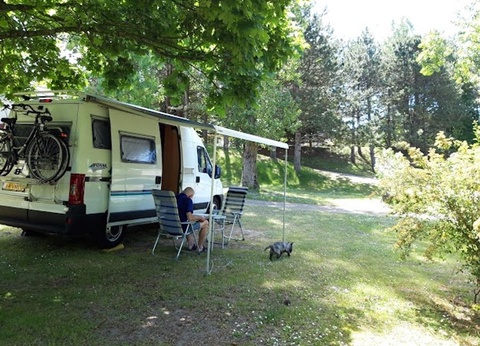 Camping Domaine de La Pinede, 3* - 29