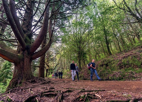 Circuit Echappée Sentiers de Madère depuis l'hôtel Cabo Girão 4* - 9