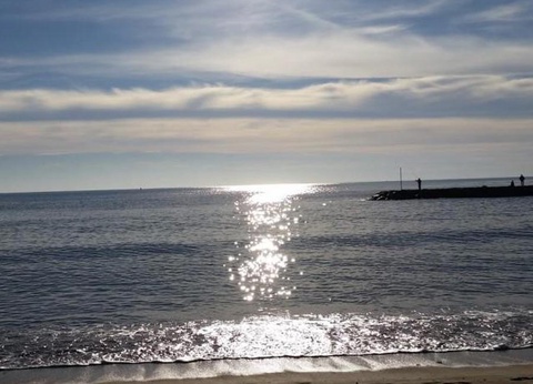 Camping La Provençale, 4* - 36