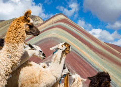 Circuit Privatif Heritage Péruvien - 5