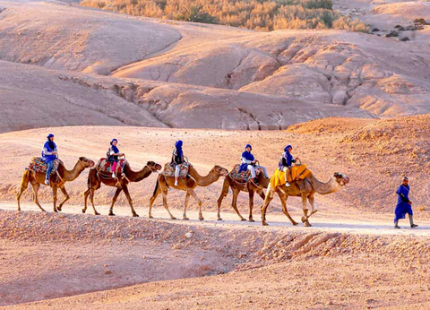 City Break Marrakech Découverte - 7