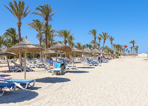 Hôtel Club Palm Azur 4* - 19