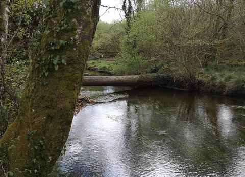 Camping de Kerisole 3* - 20