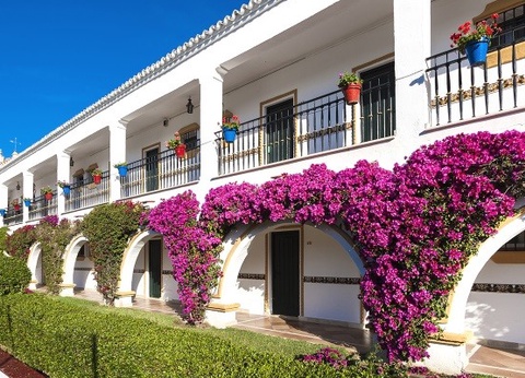 Hôtel Globales Cortijo Blanco 3* - 10