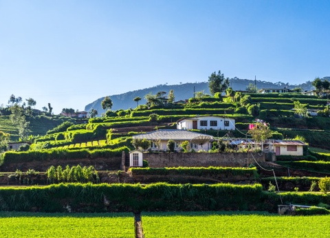 Circuit Intense Sri Lanka (privatif) et Framissima Mermaid 4* - 6