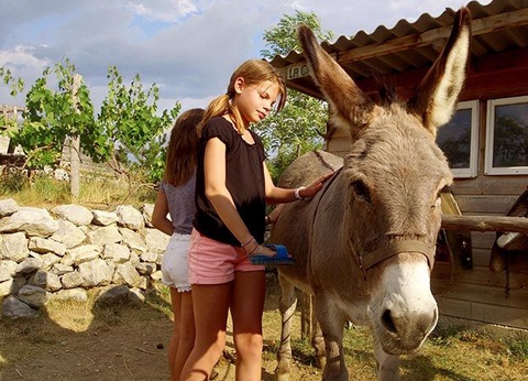 VVF Haute Provence 3* - 25