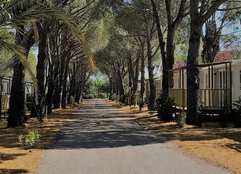 Camping maeva Club Le Lagon d'Argelès, 4* - 37