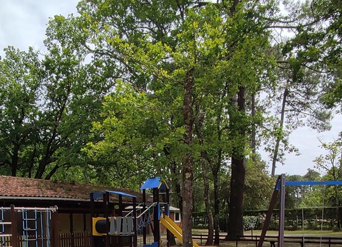 Camping Municipal Les Genêts, 3* - 16