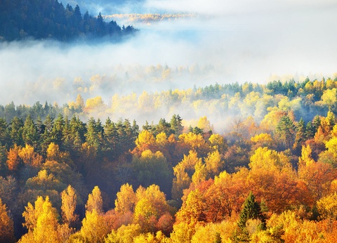 Circuit Découverte des pays baltes - 16