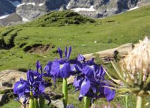 Camping du Lac, 4* - 60