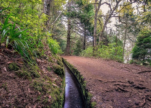 Circuit Echappée Sentiers de Madère depuis l'hôtel Cabo Girão 4* - 5