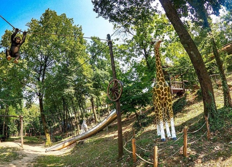 Weekend Glamping Resort, 4* - 20