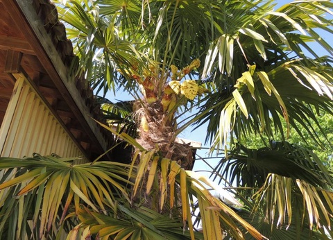 Les Chalets d'Auvergne, 4* - 30