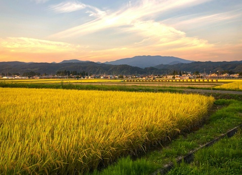 Grande boucle japonaise - Long circuit individuel en 3* - 4