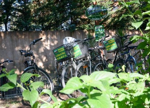 Camping Les Pêcheurs, 4* - 42