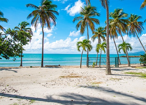 Hôtel Framissima Évasion Arawak Beach Resort **** - 4