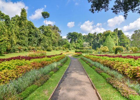 Circuit Le Royaume des Eléphants et plage en privatif - 6